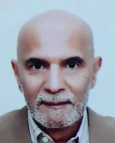 Mohamed Alami